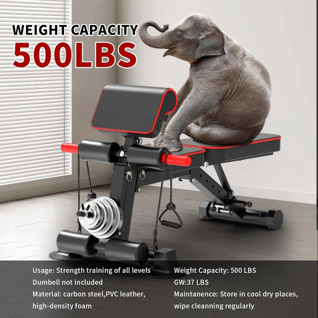 Adjustable Weight Bench for Home Gym–Foldable Workout Bench for Bench Press Sit-Ups Incline/Decline/Flat Strength Training Multi